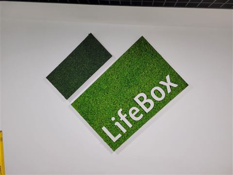 Perete de licheni stabilizați – Life Box, foto 2 din 2